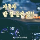 전국왕대박화물