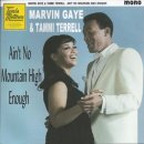 Ain't No Mountain High Enough - Marvin Gaye & Tammi Terrel 이미지