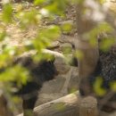 해란공원1 이미지