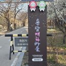 청계천길 Daum카페