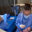 뉴본메디칼 (NUBONE MEDICAL) | [미국 출산] 샌디에이고/샵Sharp 메디컬 센터/40주2일유도분만/자연분만기록