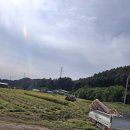 송함농장 Daum카페