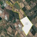 정권농장 이미지