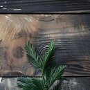 광주의상실 이미지