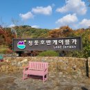 충북 제천시 관광지 맛집 카페 캠핑장 리스트
