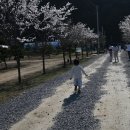 제이제이오토 이미지