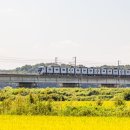 부발약국 이미지