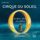 라스베가스 3대 쇼 정리 &amp; 오쇼 관람 후기 (1층 104구역 / 3층 자리 뷰)
