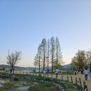 CU 계산태양점 | 두물머리 -4월 20일 방문 후기