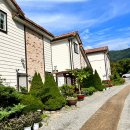 엔젤 식물원 이미지