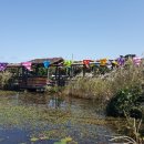 신신농장 이미지