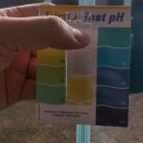 양일로1L 이미지