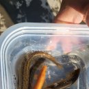 삼산고등학교 이미지