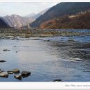 새들민박 이미지