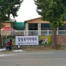 힐링독아카데미 이미지