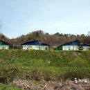 행복한신선농장 이미지