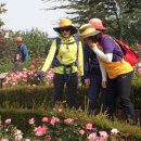 부천둘레길5코스 이미지