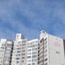 지향초교 이미지