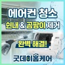 오산동 에어컨 청소 | LG 위너칸 투인원 완전분해로 쉰내·검은 곰팡이 완벽 해결한 단독주택 후기