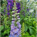 곡성-146 이미지