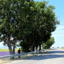 프로방스 이미지