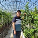 화순농장 이미지