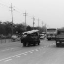 무곡농장 이미지