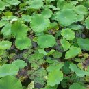 동면 생태친구들 이미지