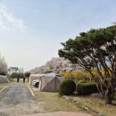 평사리공원 캠핑장. 야영장. 섬진강(섬진강의 발원지 진안군 팔공산. 하구 광양만 )! 경남 하동군 악양면 2026년 3월 29일(일). 이미지