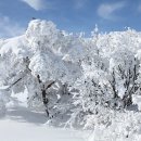 제주의 추억 이미지