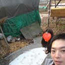 밍그라바 네이버블로그