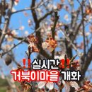 구항면 내현마을회관 이미지