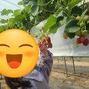 행복한 소농장 이미지