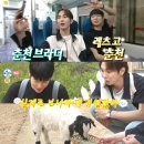 춘천중앙막국수 이미지