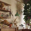 해성플라워 이미지