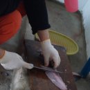 조약돌민박 이미지