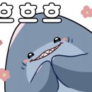 국술원합기도 의성도장 이미지