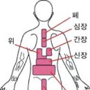 부황요법의 효능및 사용법 이미지