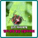 죽당행복스마트폰활용교육 | 아이에게 선물하는 행복! 서울숲 소똥구리생태학교 봄 숲체험 완벽 가이드