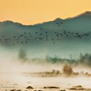 시인의마음 이미지