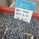 구리찰옥수수