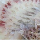 삼천포회수산