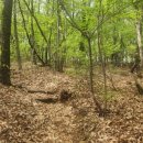 성복2로78번길 이미지