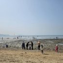 그늘막118 이미지