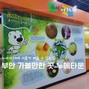 유유누에마을 | 부안 누에타운 볼거리가 많았던 누에 박물관