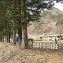 율전초교 이미지