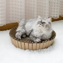 해밤