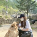 율푸드