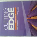 컷팅 엣지(cutting edge)