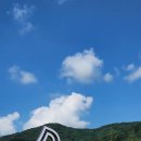 네이처다이브 | 인생샷 명소 / 체험형 전시) 뮤지엄 딥다이브 방문후기